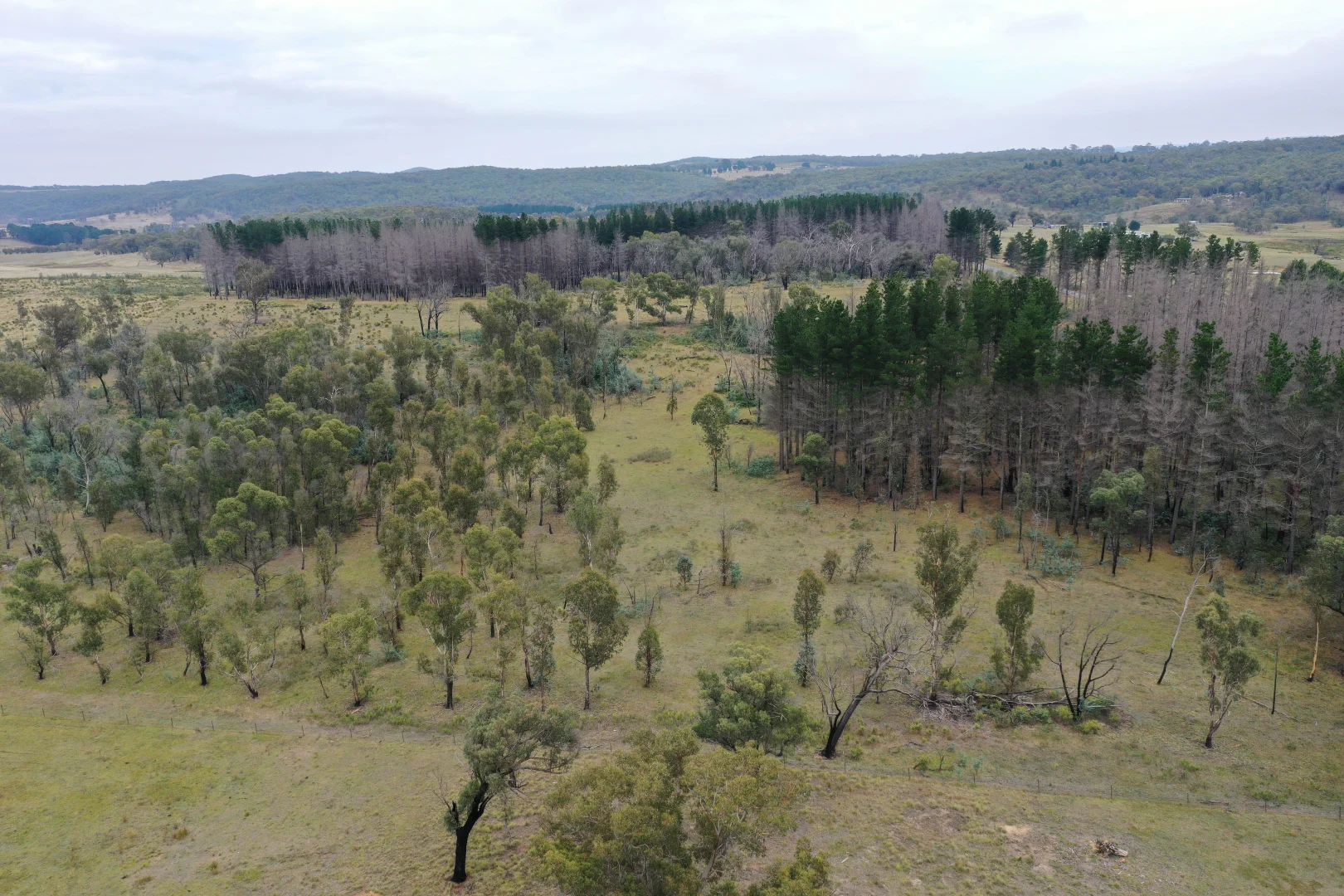 Additional image 8 of 186 Old Station Creek Road, Taralga NSW 2580