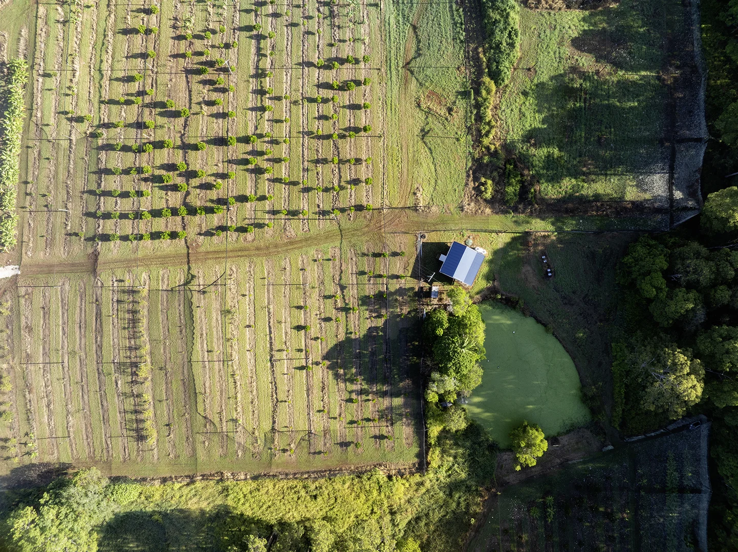 Additional image 31 of 654 Blackall Range Road, West Woombye QLD 4559