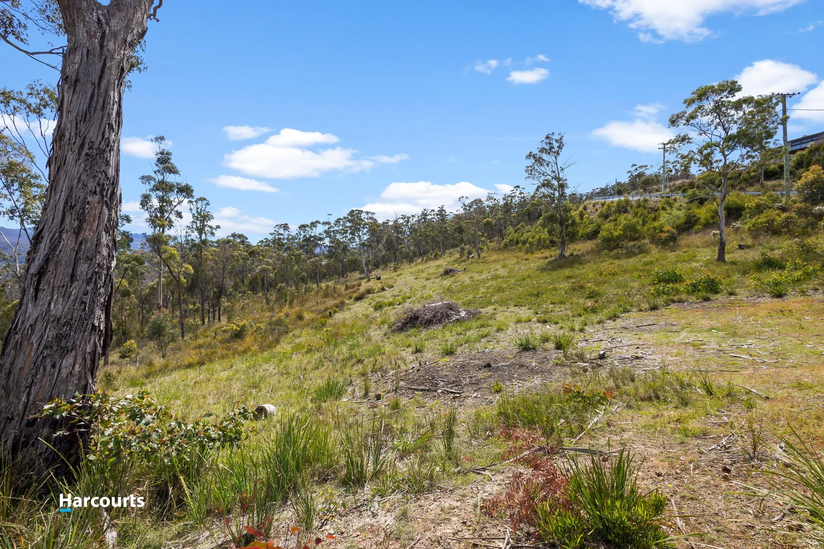 Additional image 14 of 41 Grovenor Rise, Grove TAS 7109