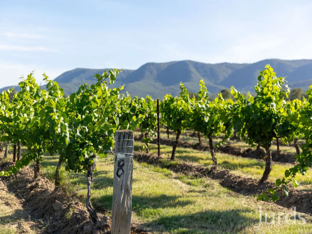 2/DP707940 Hermitage Road, Pokolbin NSW 2320