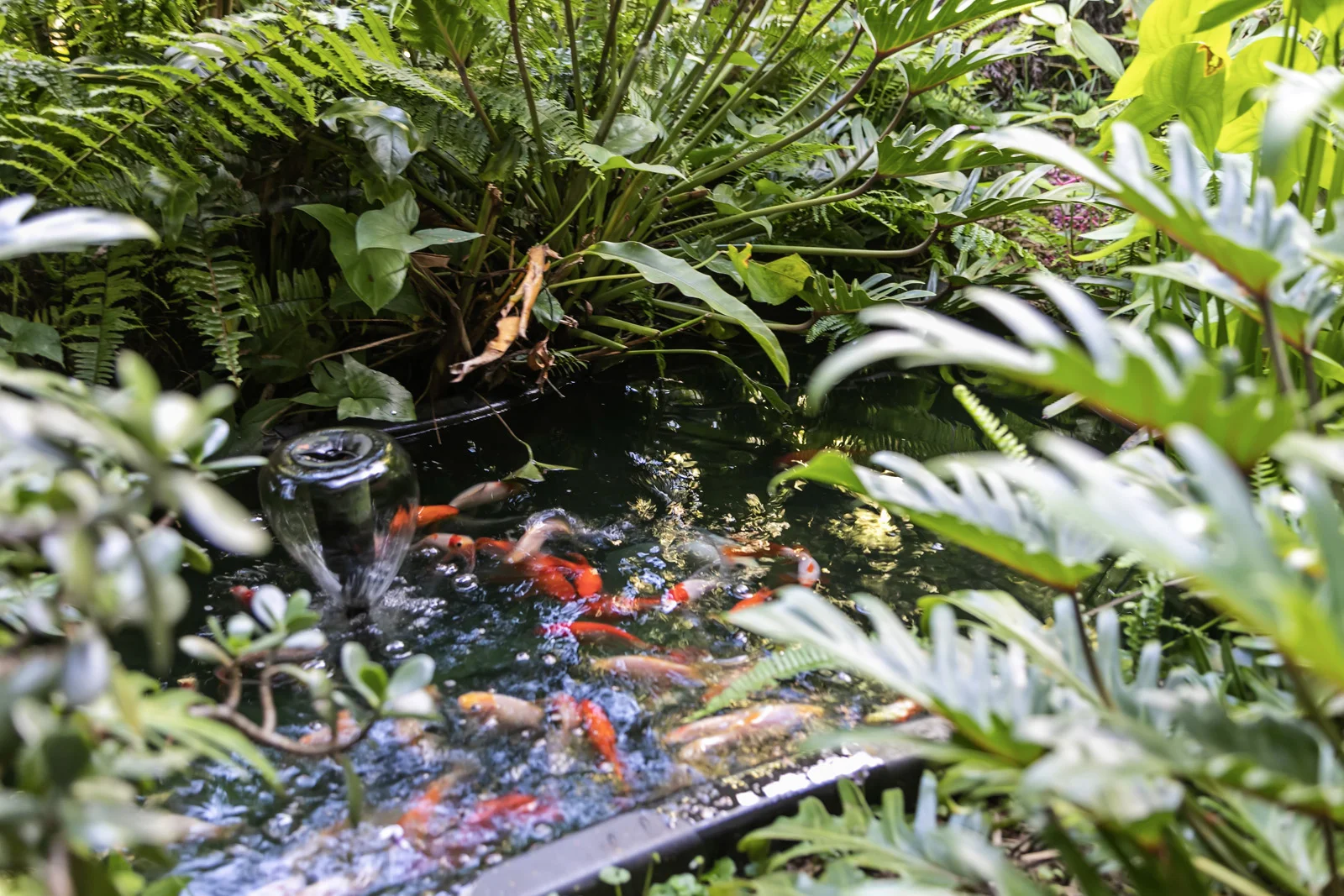 Additional image 17 of 37 Crystal Street, Mapleton QLD 4560