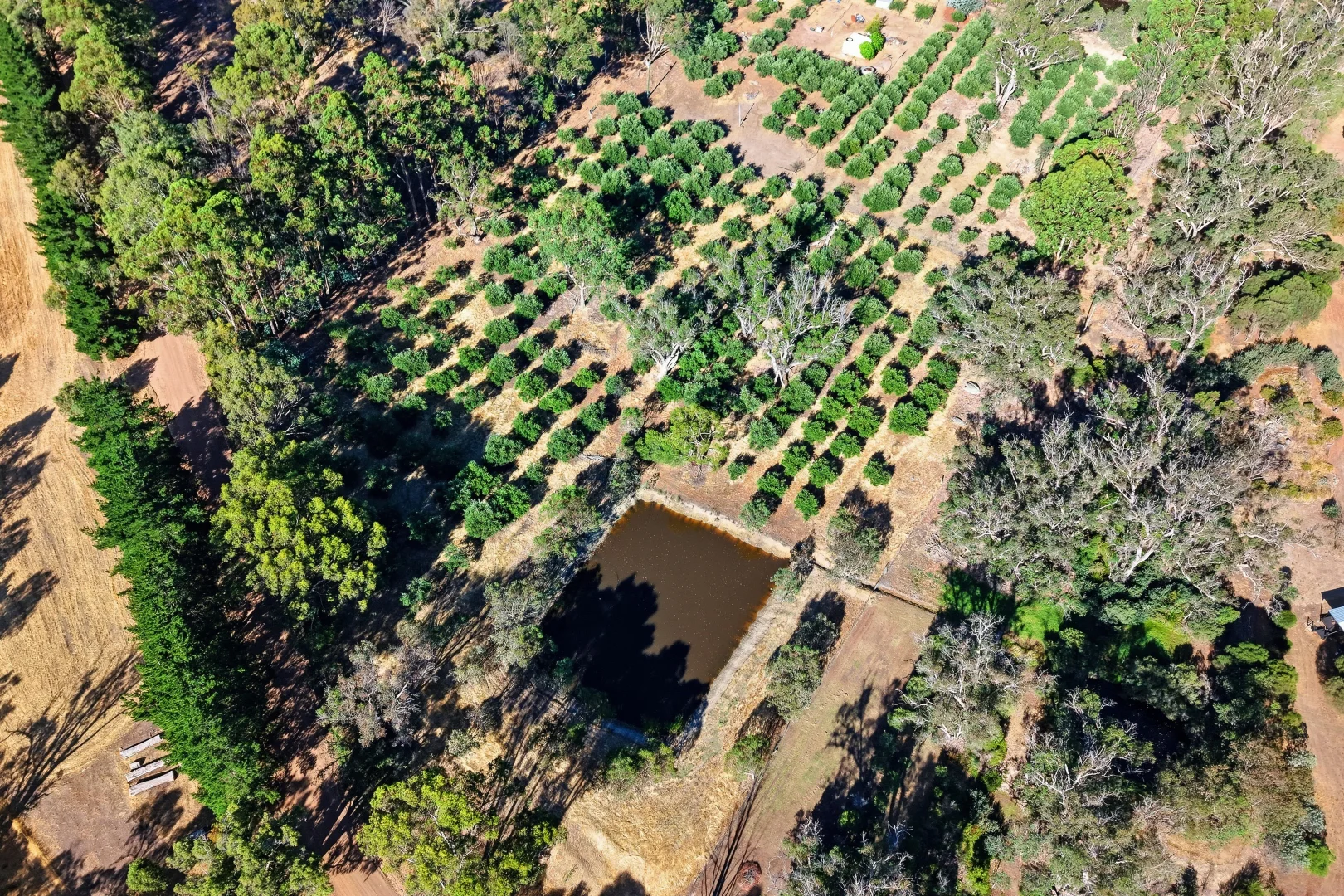 Additional image 5 of 55 Waters Ford Road, Winnejup WA 6255