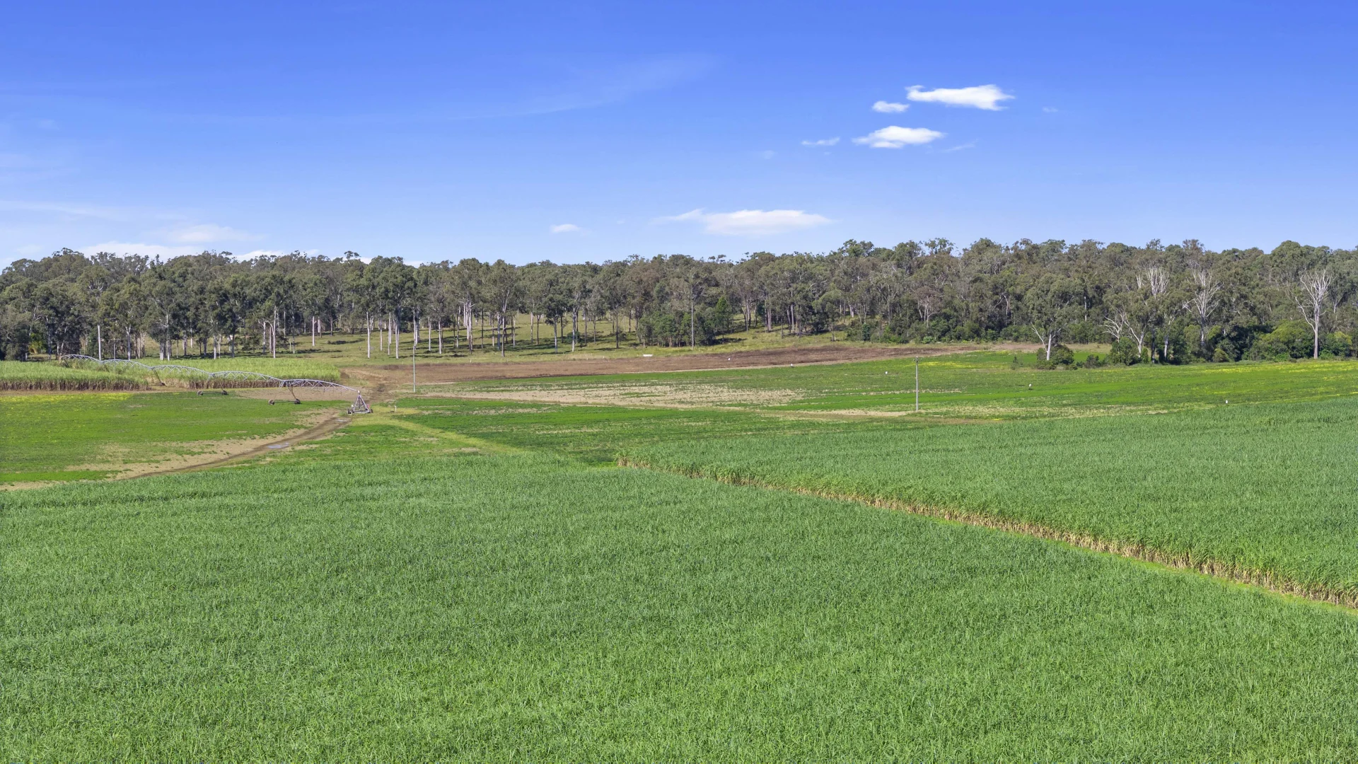 Additional image 12 of 91, Peake Farm, Walkers Point Road, Granville QLD 4650