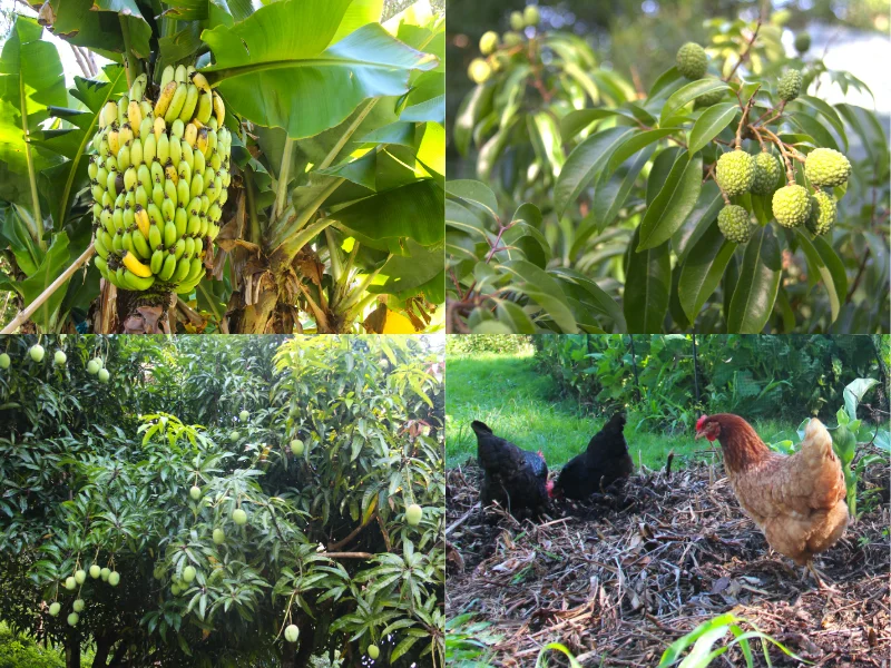 Additional image 29 of 83/265 Martin Road, Larnook NSW 2480