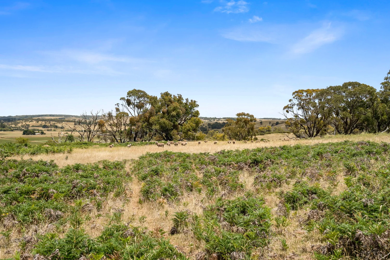 Additional image 21 of 171 Boongarra Road, Laggan via, Crookwell NSW 2583
