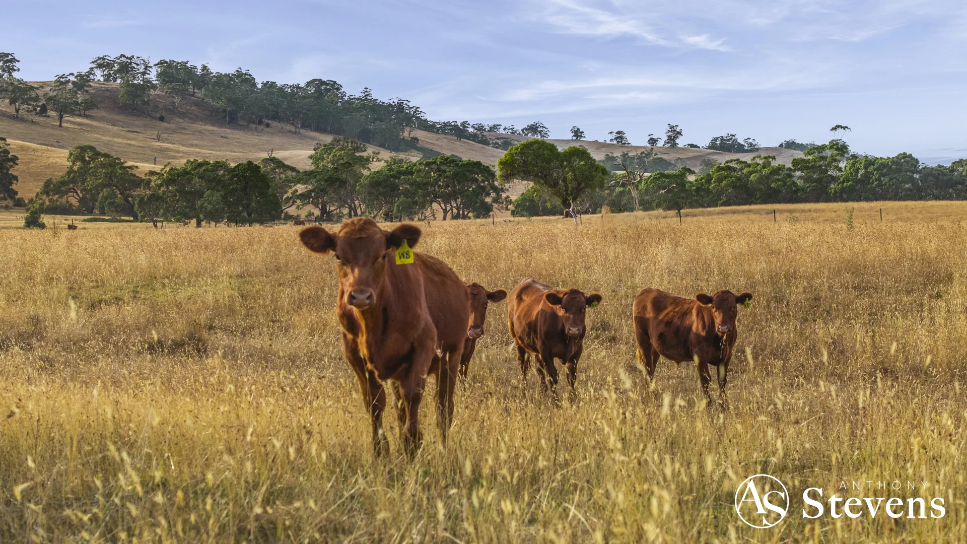 Additional image 10 of C/A-61 Pattinsons Lane, Goldie VIC 3435