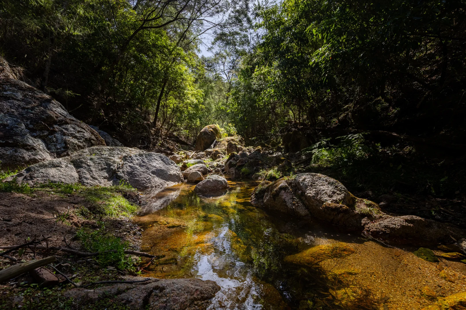 Additional image 15 of 464 Dorrigo Road, Brogo NSW 2550