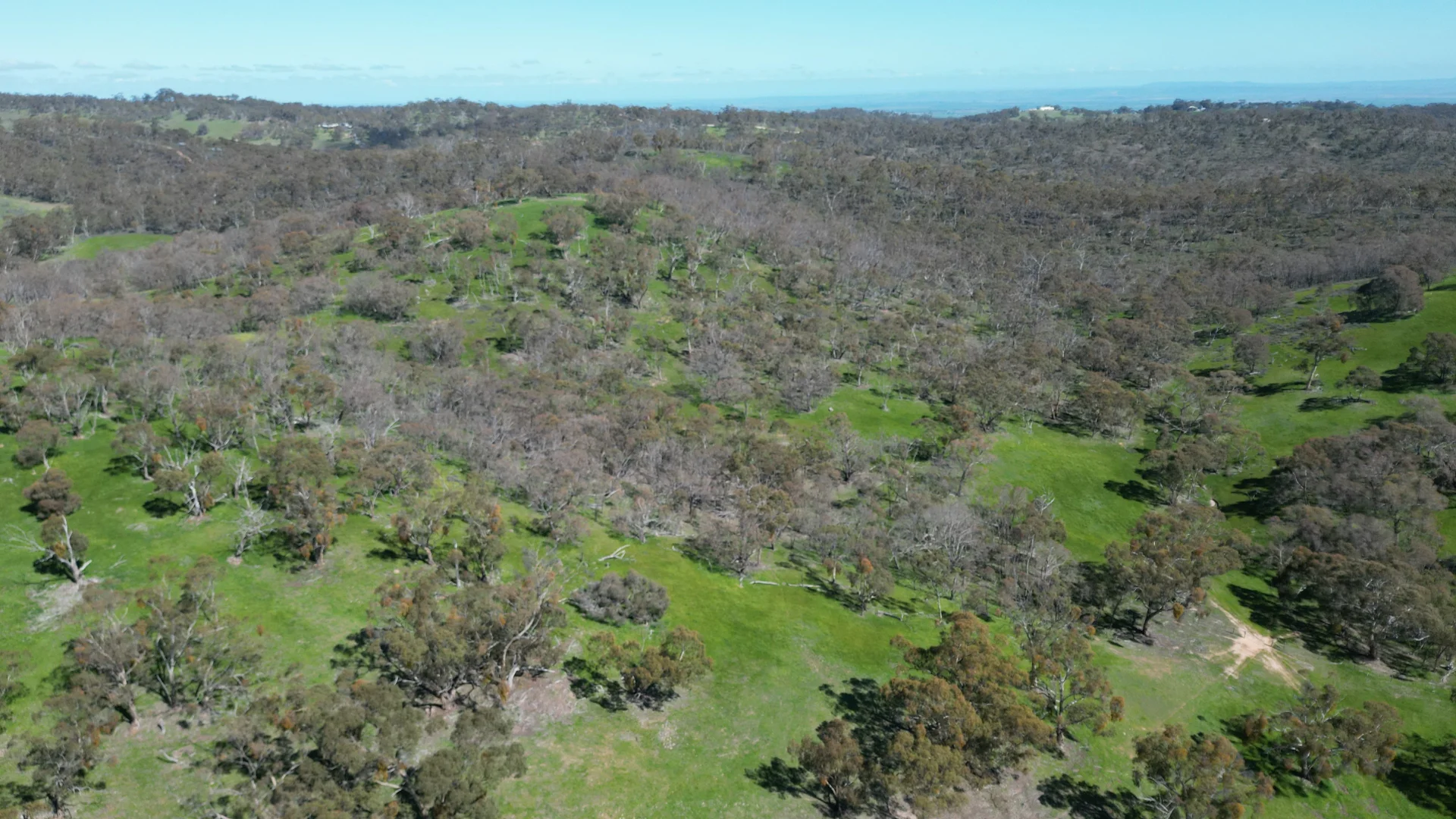 Additional image 7 of Lot 388 McCord Lane, Gillentown SA 5453