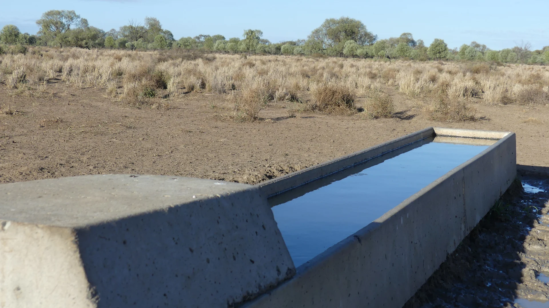 Additional image 16 of Warren NSW 2824