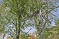 Additional image 17 of 32 Gramercy Park S Apt 5J, Manhattan, NY, 10003