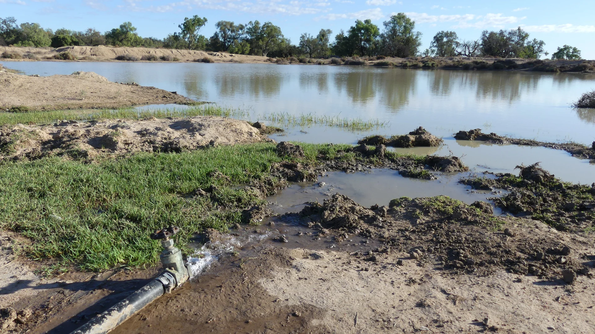 Additional image 11 of Warren NSW 2824