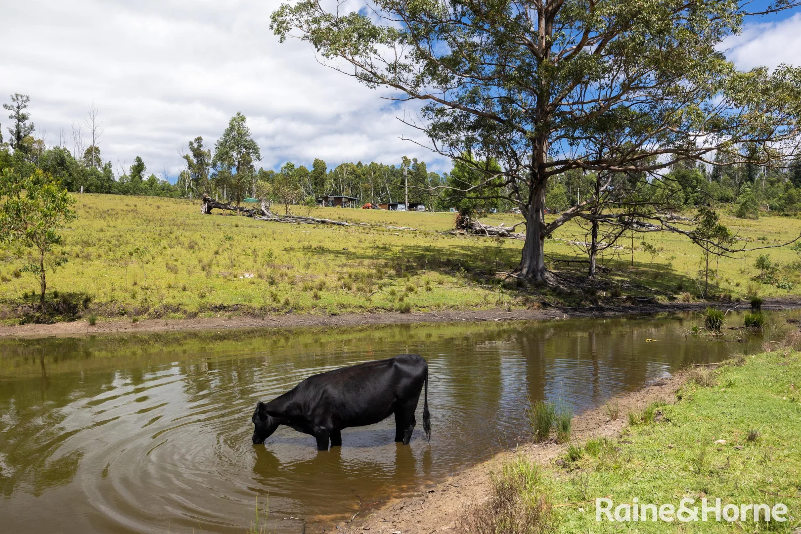 Additional image 14 of 225 Woodburn Road, Morton NSW 2538
