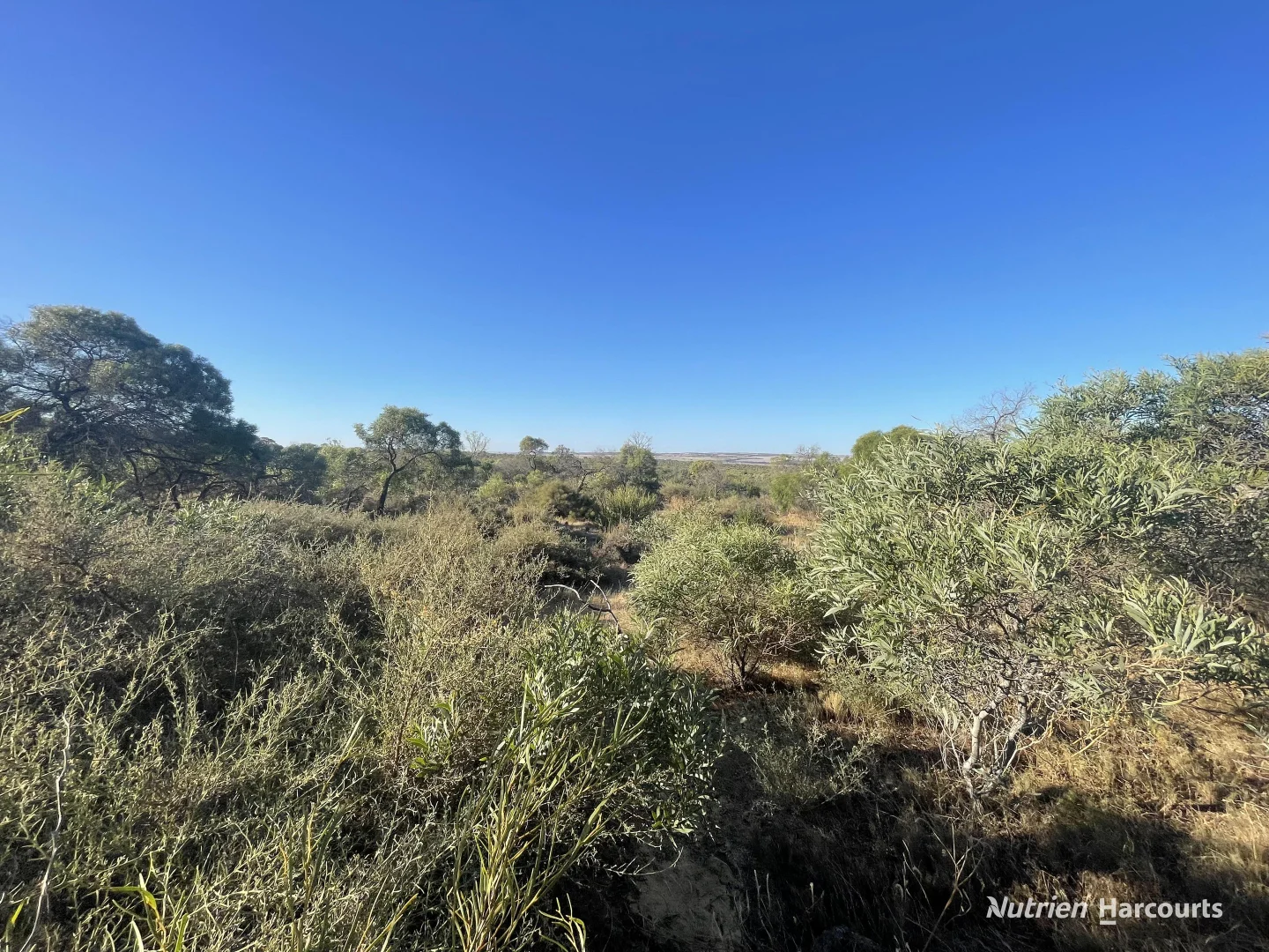 Additional image 9 of Lot 2691 Fraser Road, Walkaway WA 6528