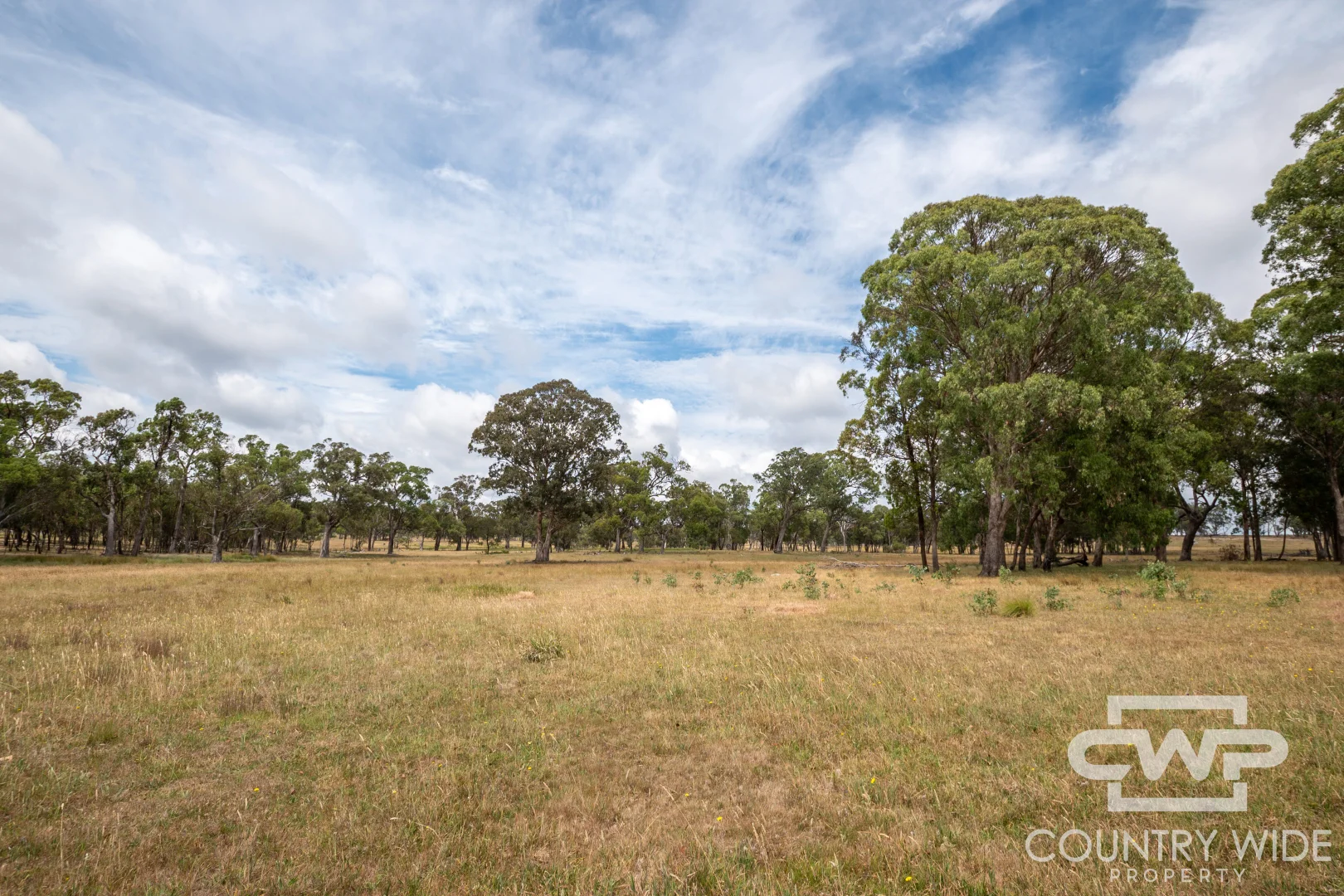 Additional image 7 of 320 Cemetery Road, Torrington NSW 2371