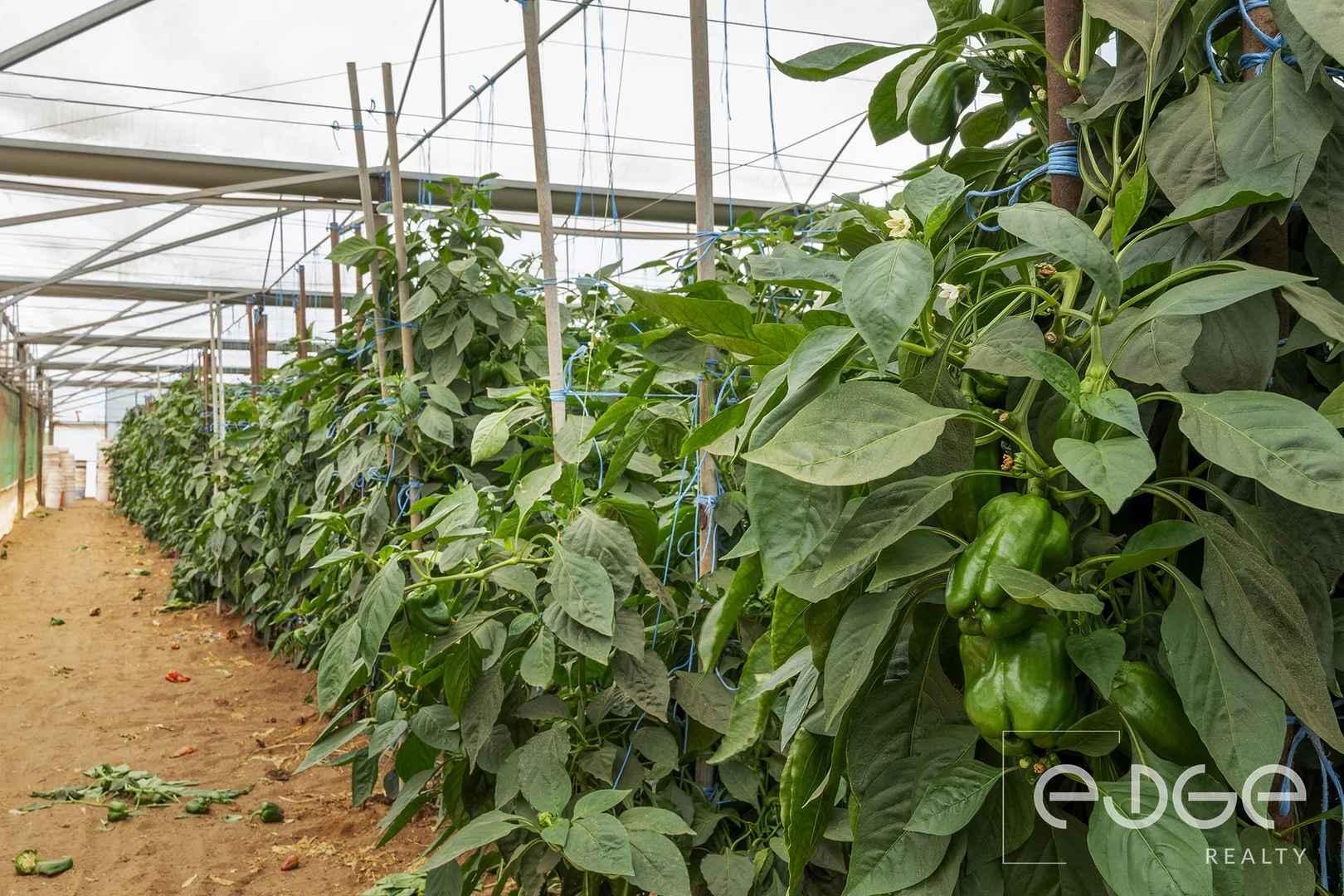 Additional image 9 of Lot 390 Port Gawler Road, Port Gawler SA 5501