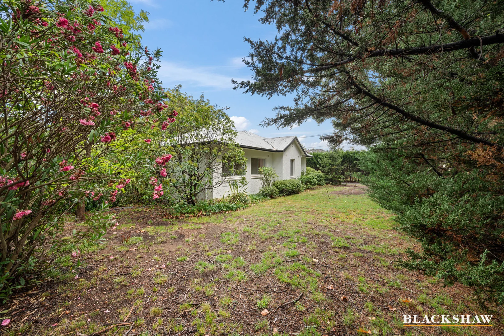 Additional image 19 of 37 Cowper Street, Ainslie ACT 2602
