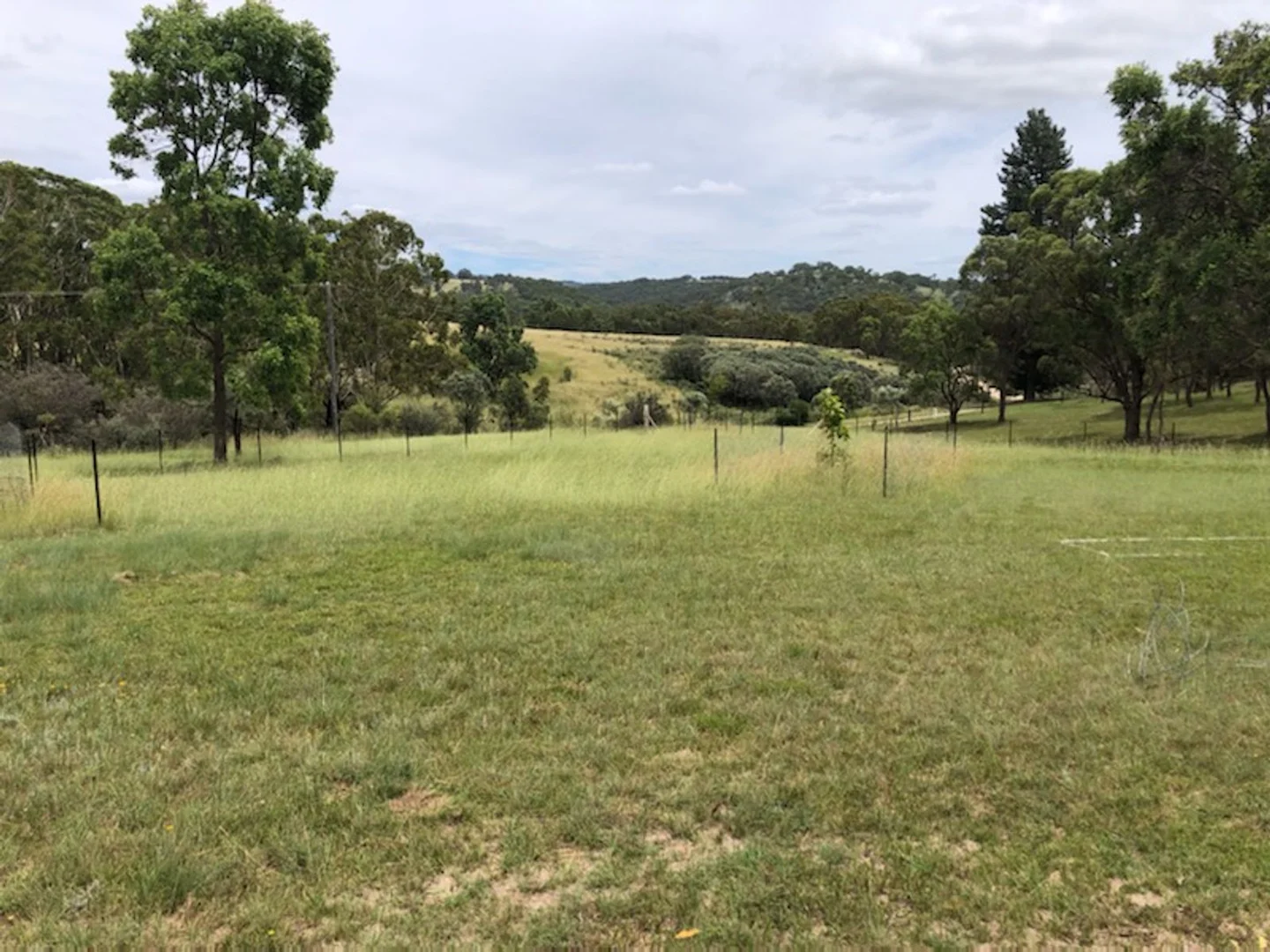 Additional image 40 of 22 Bluff River Road, Tenterfield NSW 2372