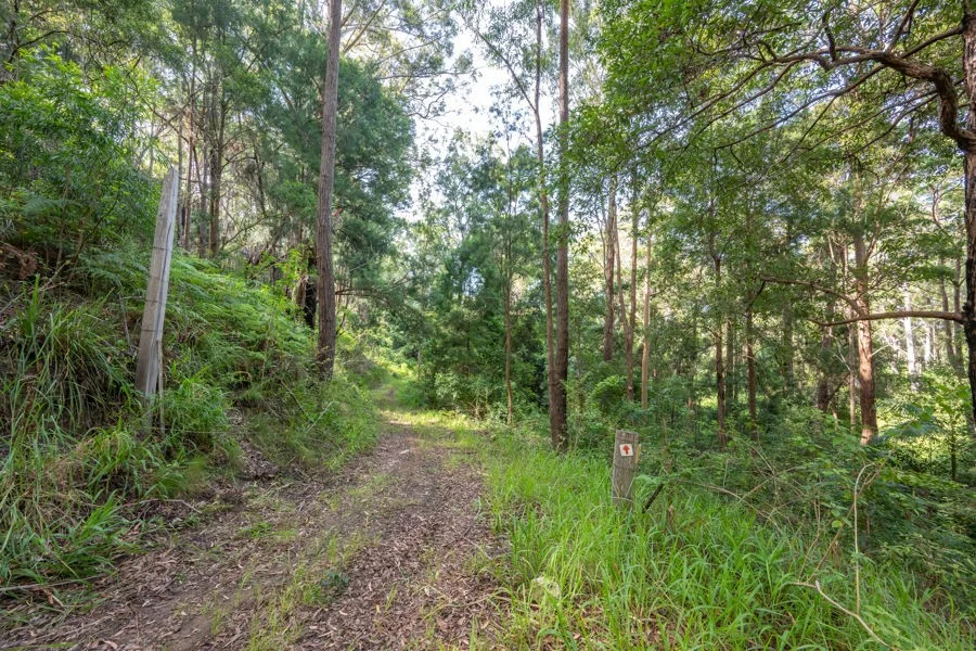 Additional image 6 of 1458 Sherwood Creek Road, Sherwood NSW 2450