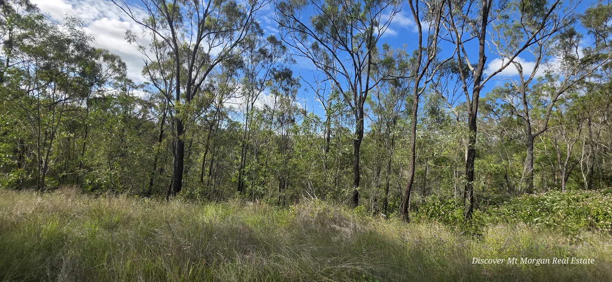 Additional image 12 of Lot 9 Struck oil Road, Struck Oil QLD 4714