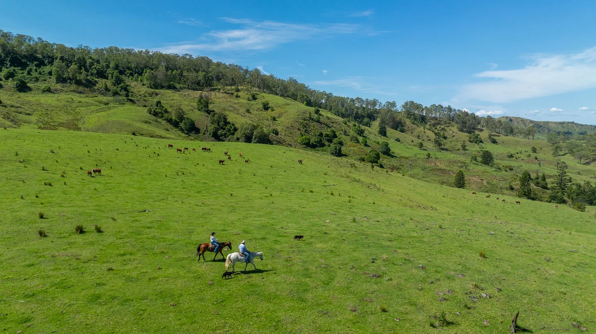Additional image 31 of Bingeebeebra Creek, Mummulgum NSW 2469