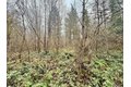 Additional image 11 of 298 Boone Rd, Toledo, WA, 98591