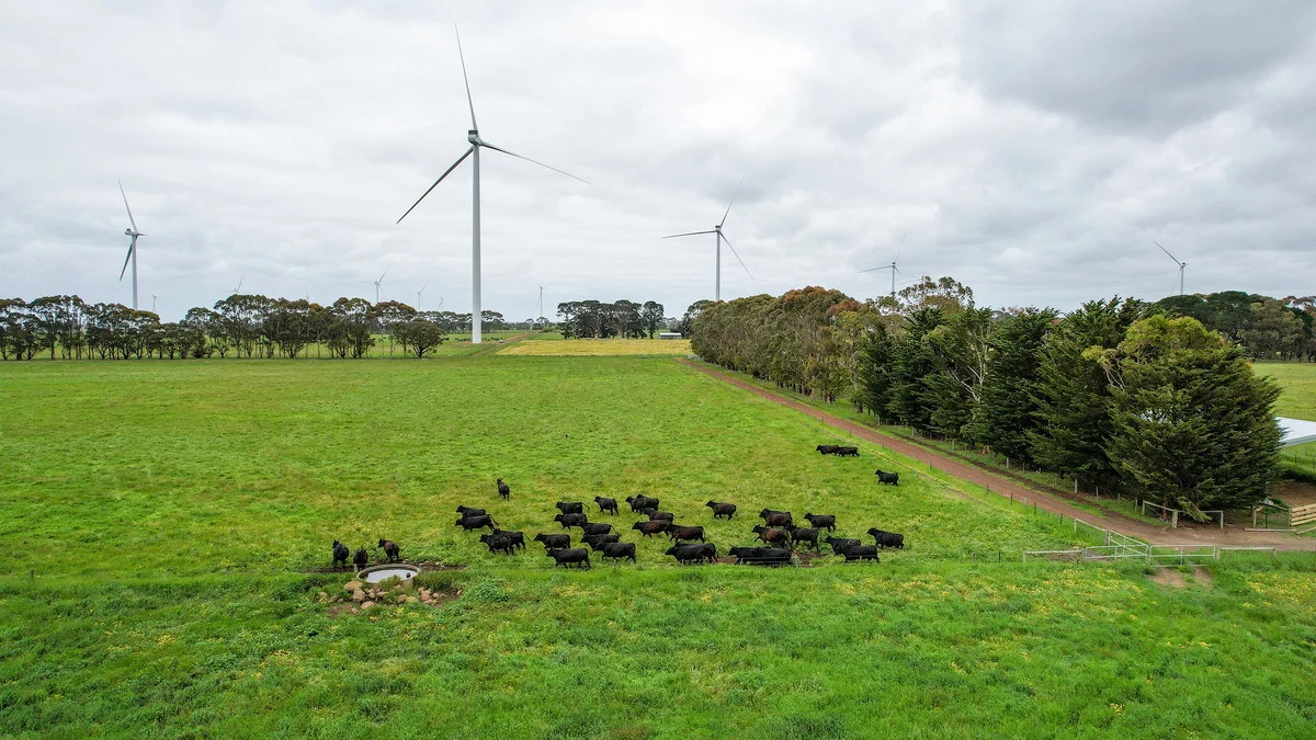 Additional image 35 of 'Laguna' 495 Camerons Road, Woolsthorpe VIC 3276