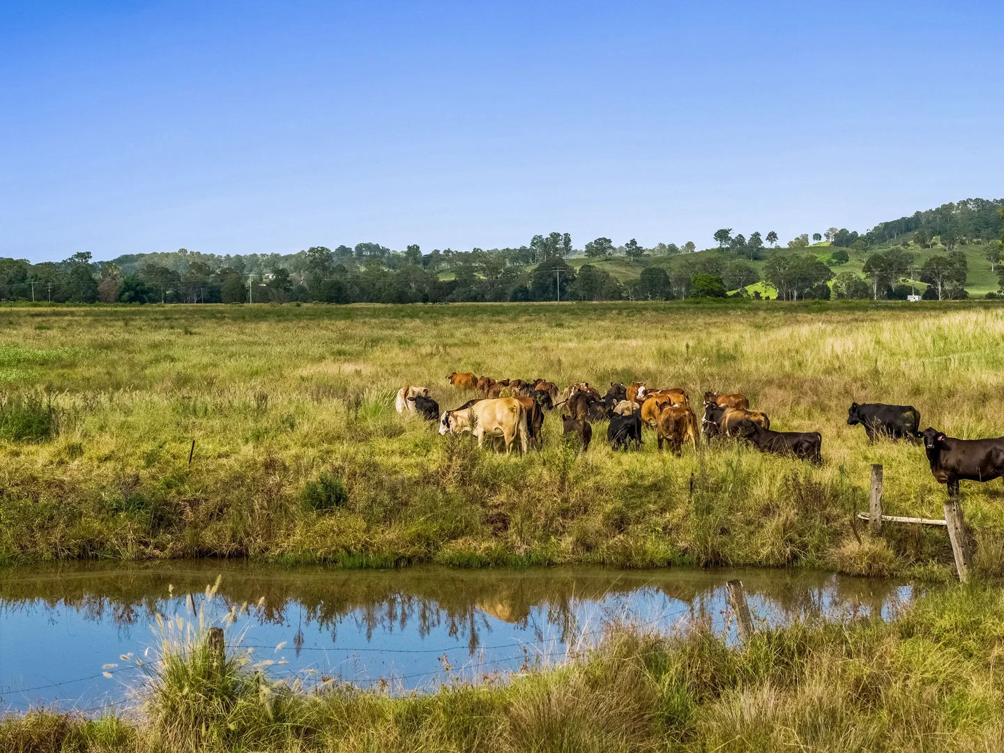Additional image 5 of 347 Summerland Way, Kilgra NSW 2474