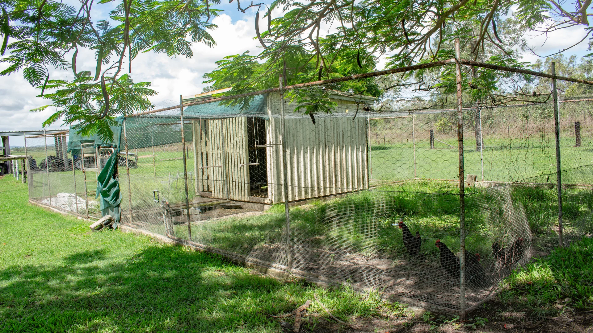 Additional image 27 of 290 Bells Road, Palmyra QLD 4751