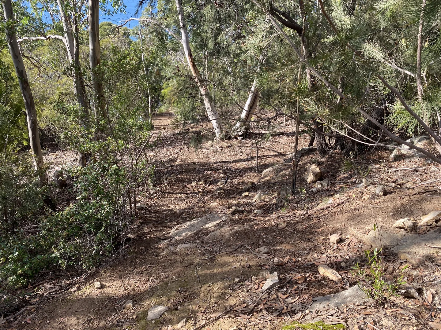 Additional image 4 of 85A Channel Highway, Taroona TAS 7053