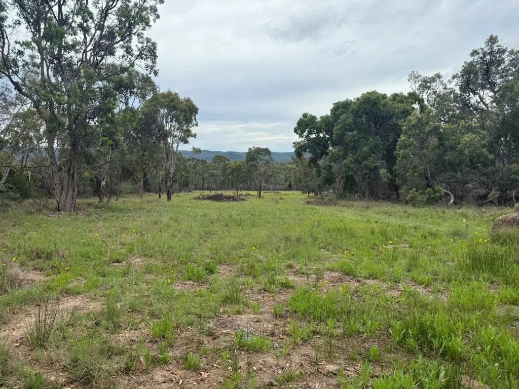 Additional image 2 of Lot/89 Fletcher Road, Ballandean QLD 4382