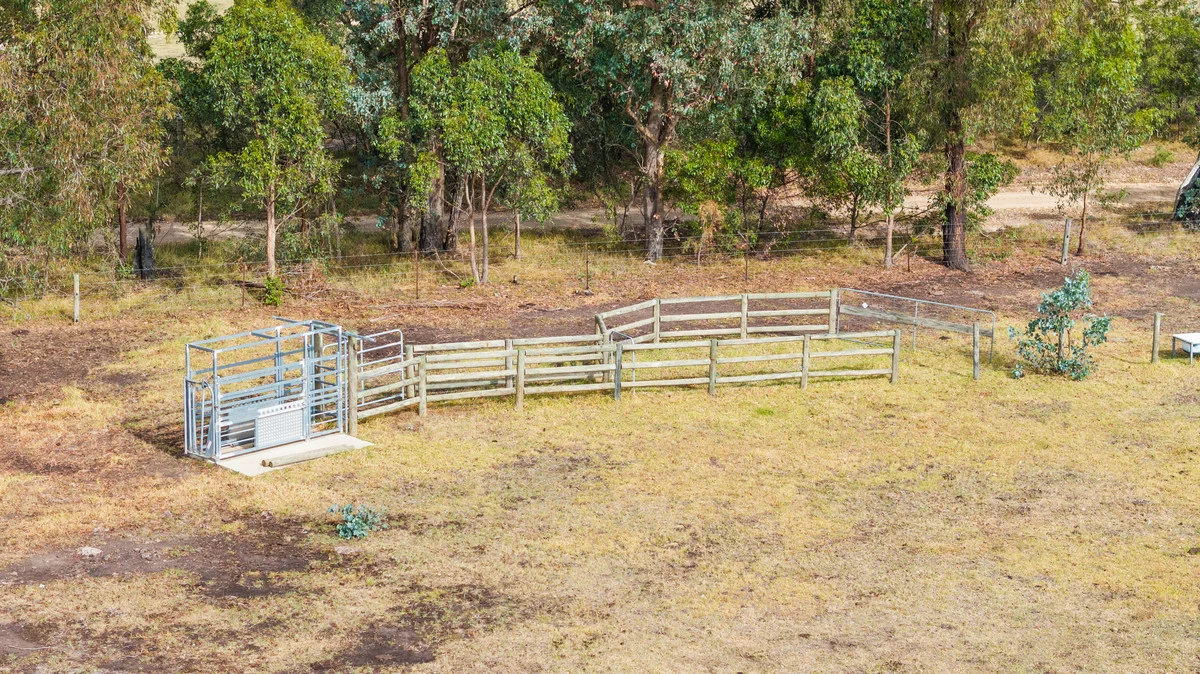 Additional image 4 of CA120C Johnson Lane, Dawson VIC 3858