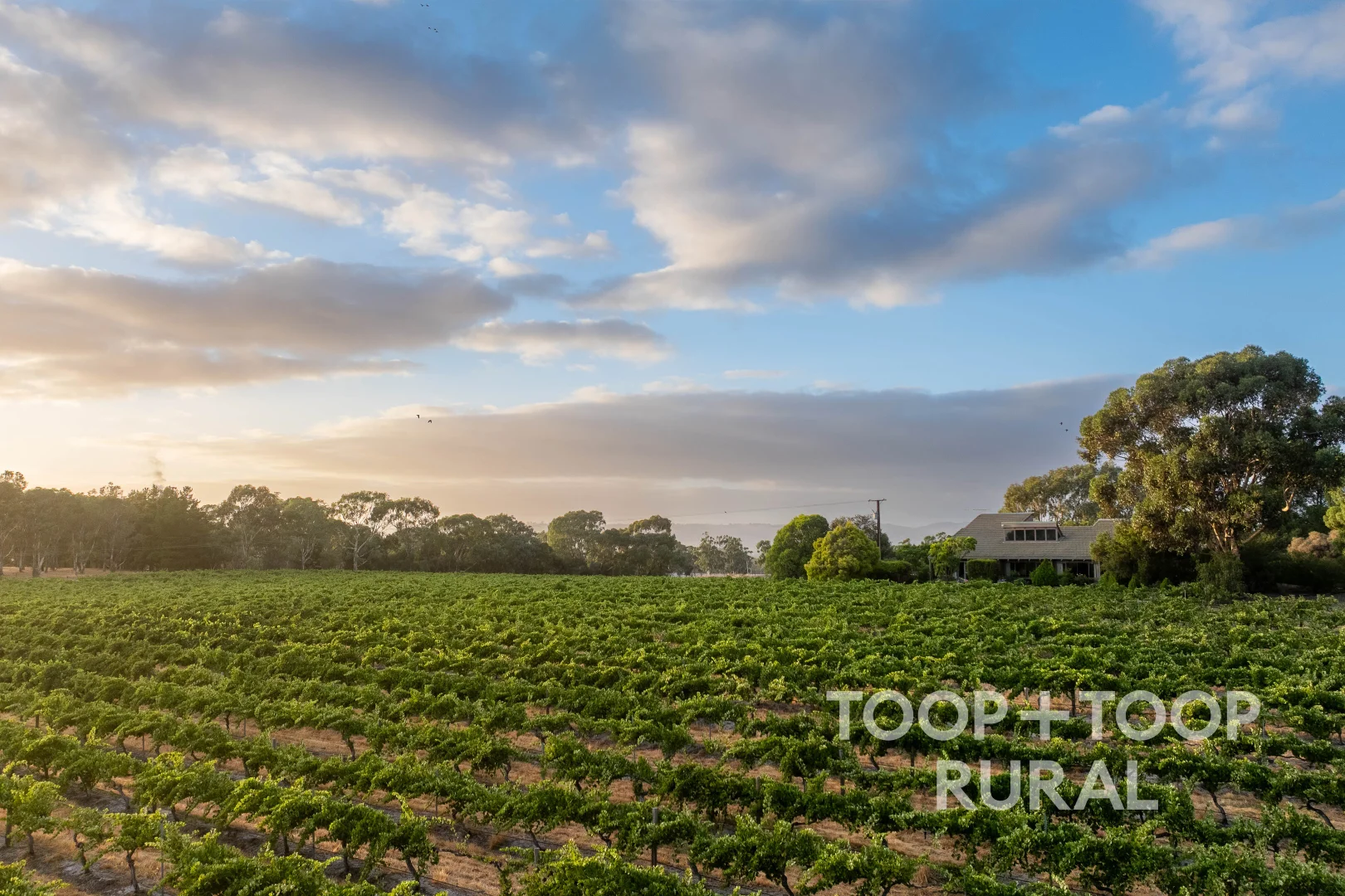 Additional image 42 of 145 Tolley Road, Nuriootpa SA 5355