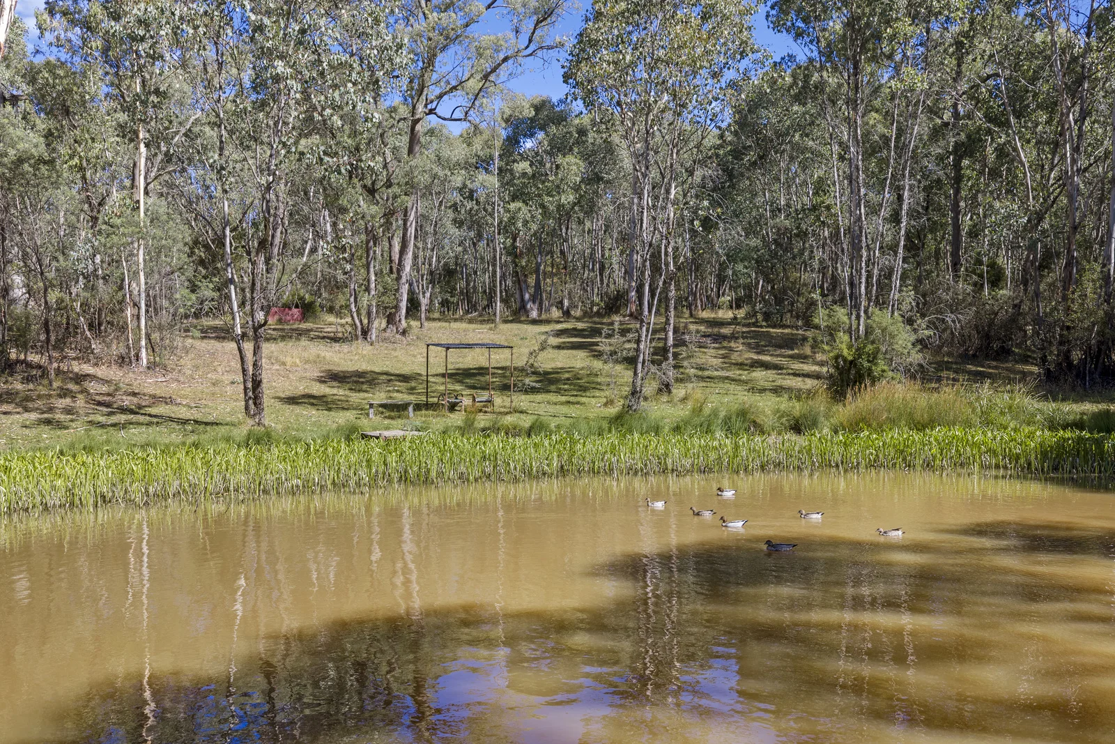 Additional image 18 of 88 Altmans Road, Tolmie VIC 3723