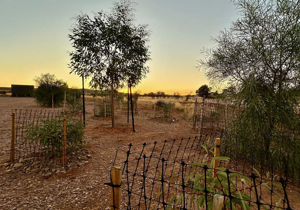 Additional image 4 of 4 Rademaker Road, Carrieton SA 5432