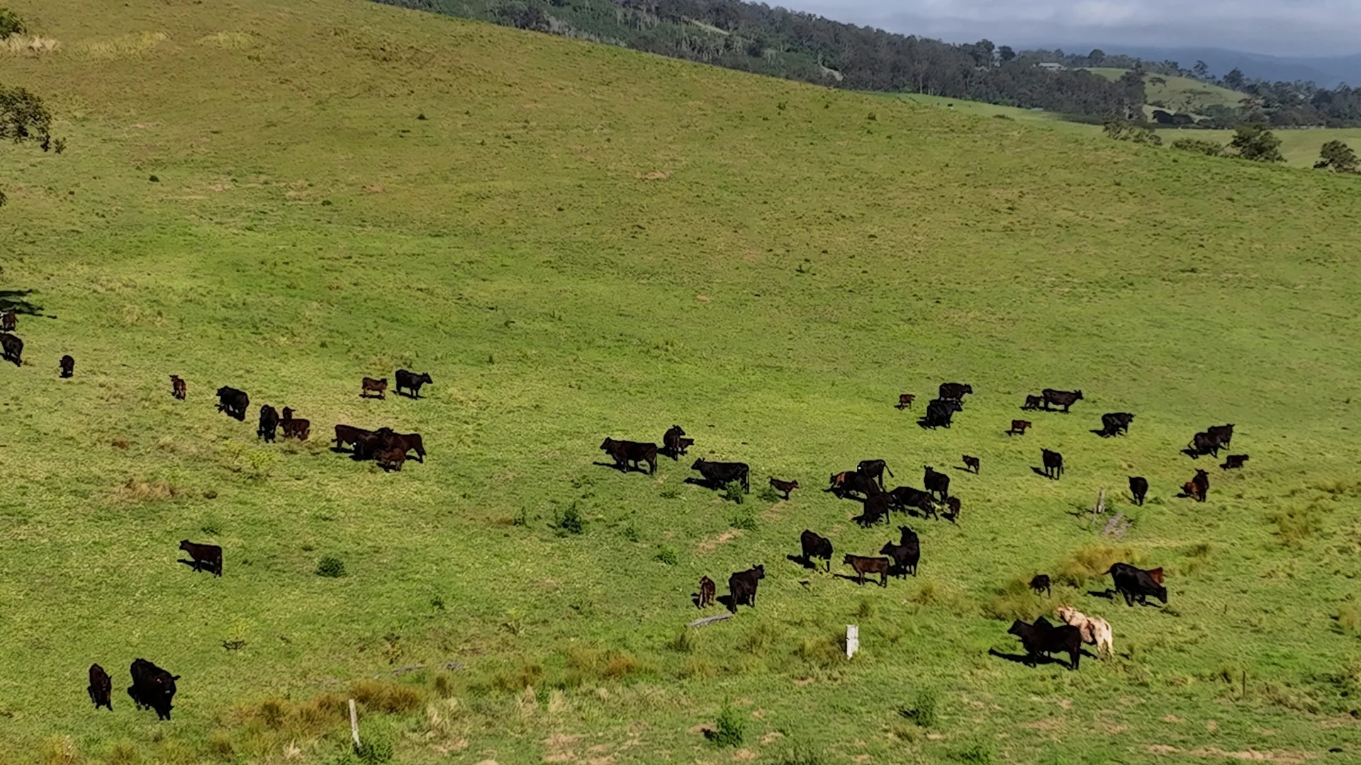 Additional image 28 of 5985 Oxley Highway, Ellenborough NSW 2446