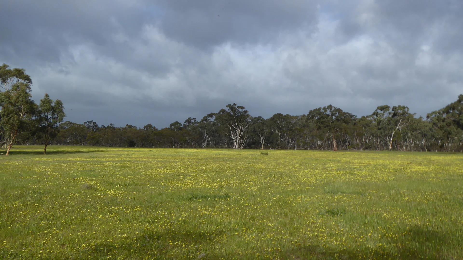 Additional image 12 of 2448 Bangham Road, Frances SA 5262