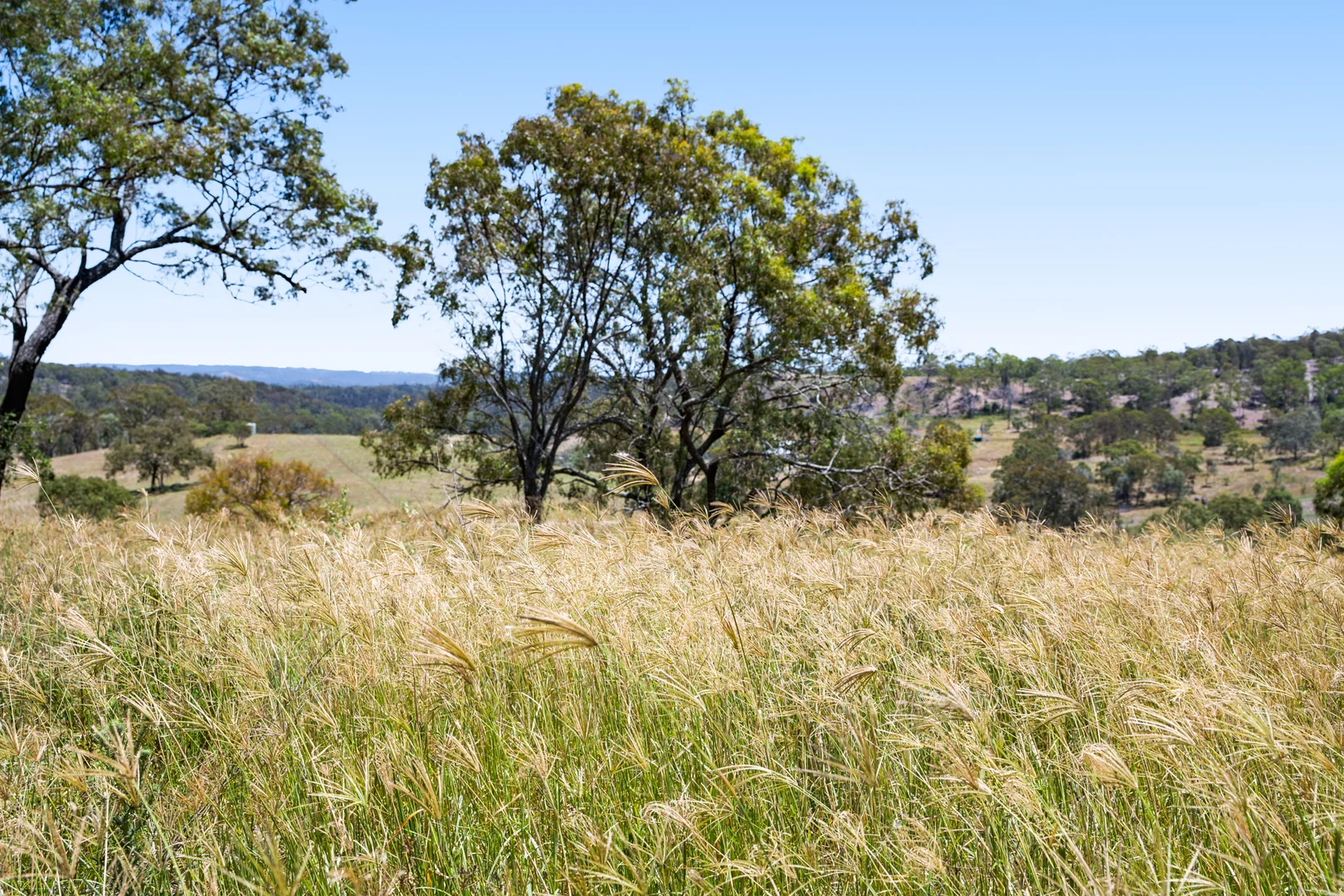 Additional image 5 of 374 Voll Road, Crows Nest QLD 4355