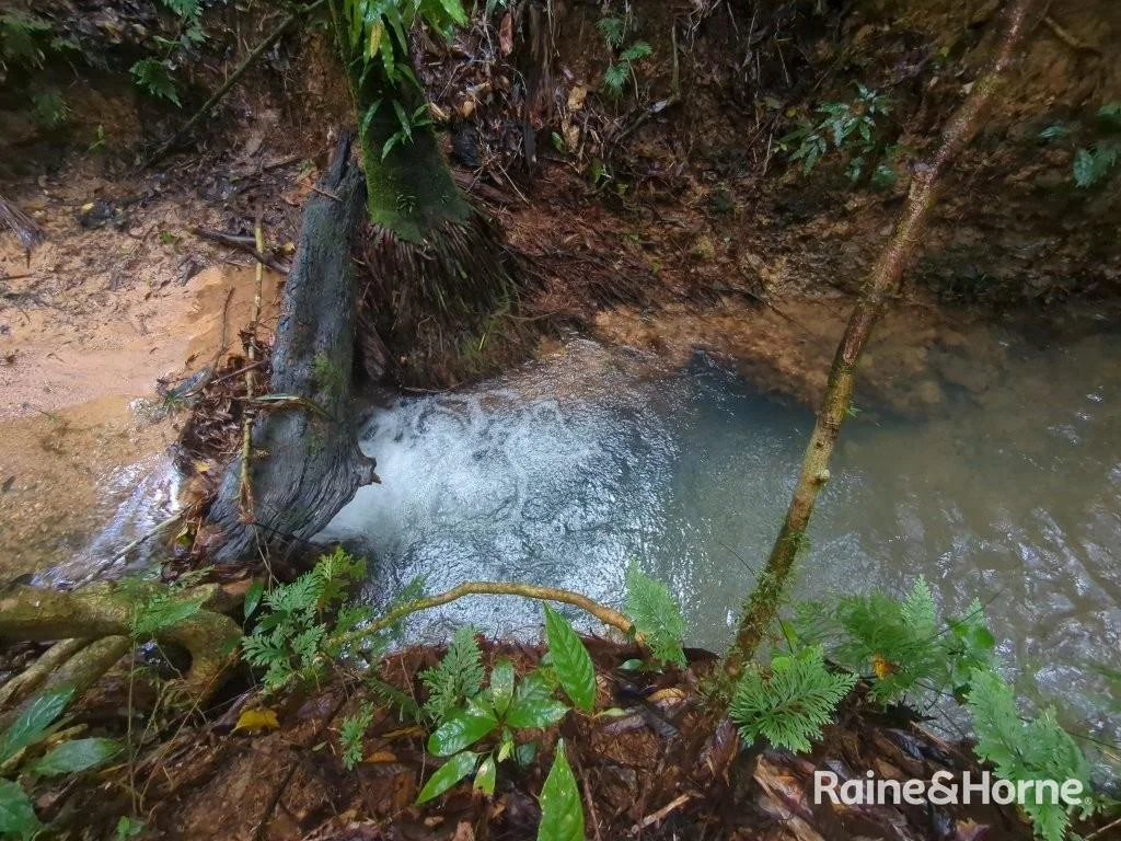 Additional image 10 of Lot 11 Milky Pine Road, Kimberley, Daintree QLD 4873