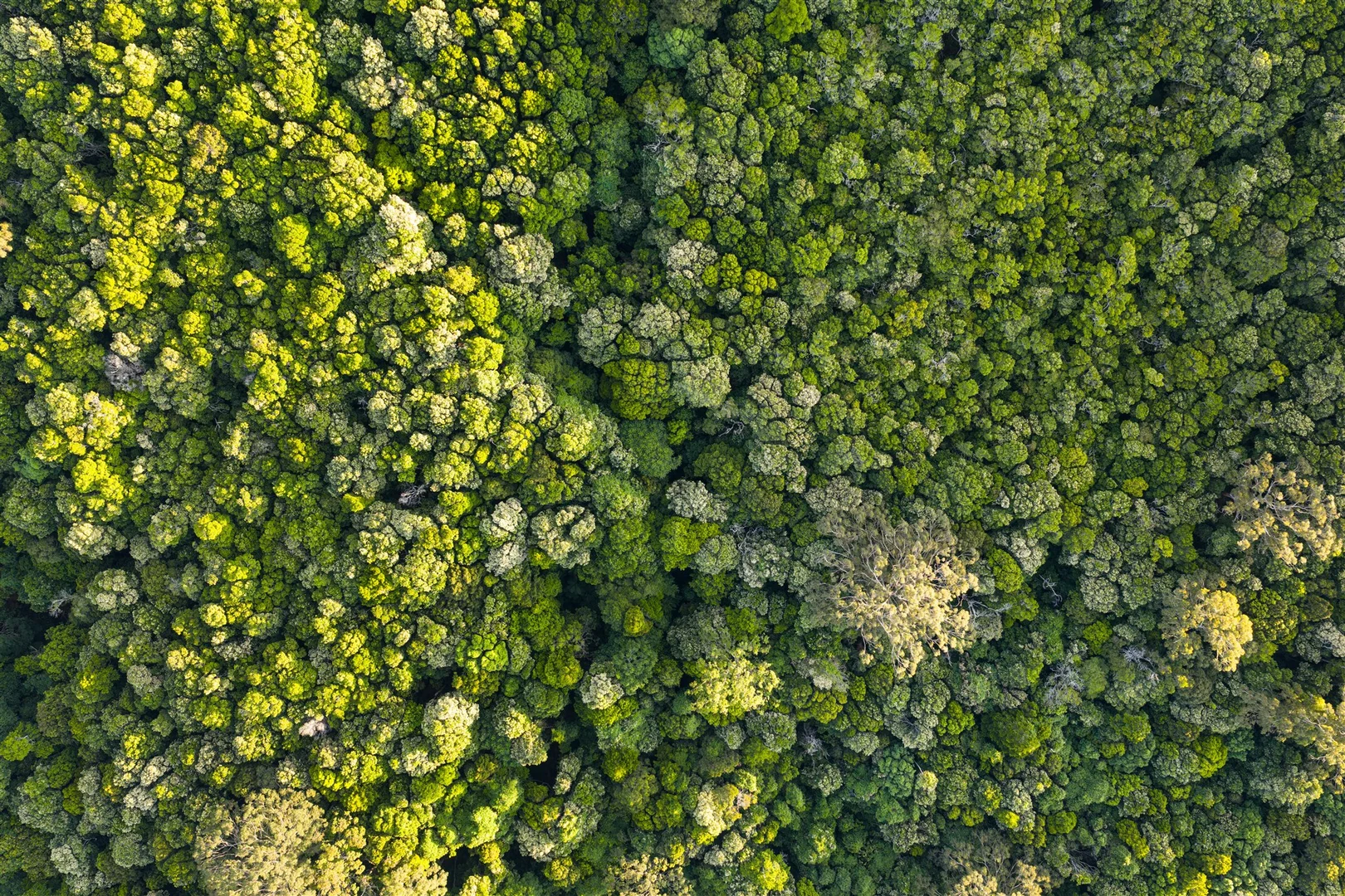 Additional image 13 of 71 Nuninuna Drive, Jamberoo NSW 2533