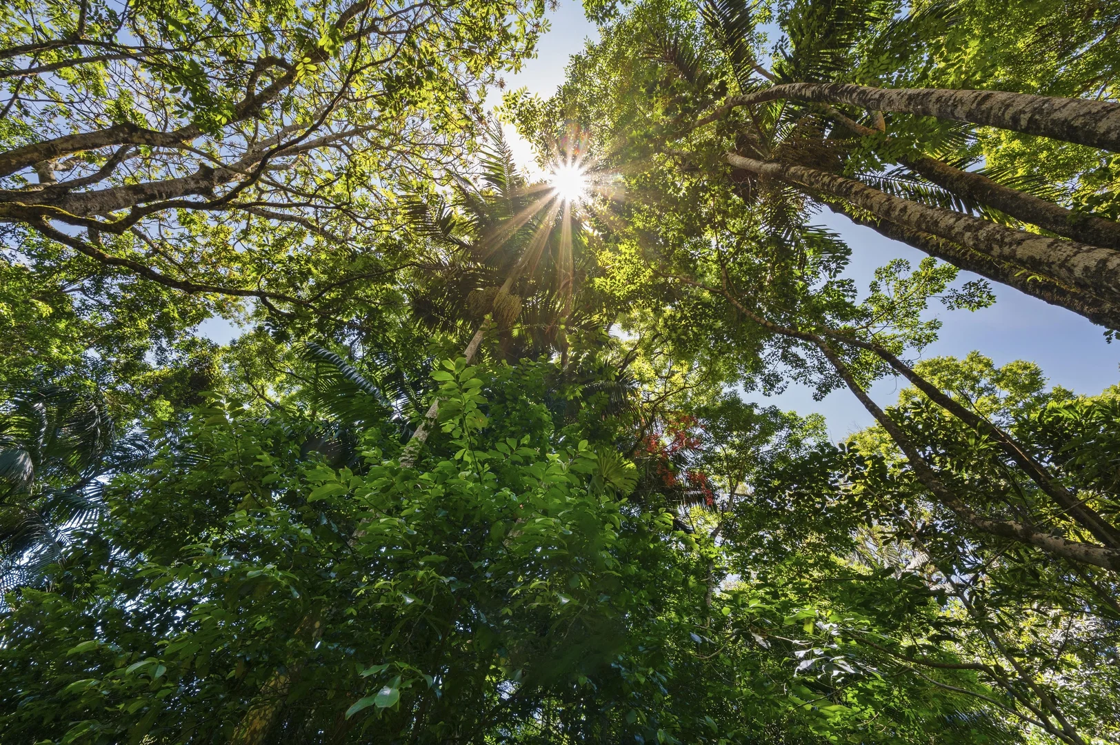 Additional image 6 of Lot 3/1968 Mount Glorious Road, Mount Glorious QLD 4520