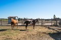 Additional image 26 of 5111 Todd Rd, Sebastopol, CA, 95472
