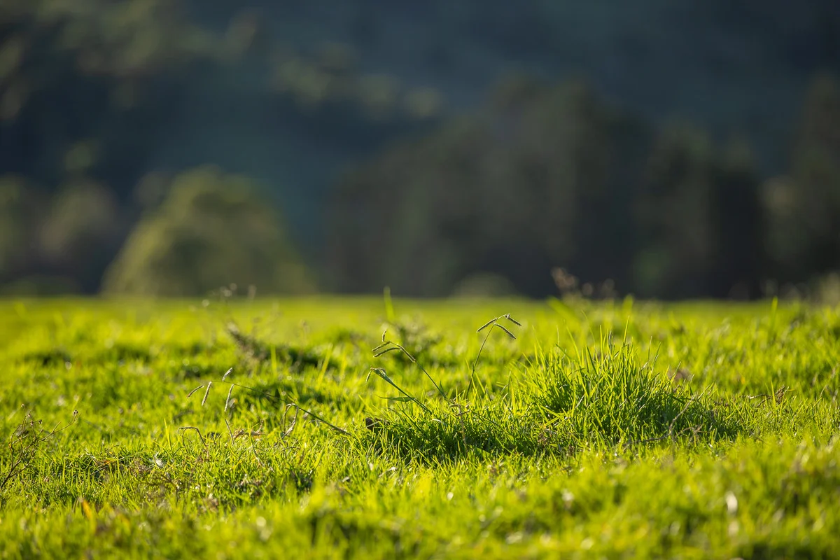 Additional image 16 of Bingeebeebra Creek, Mummulgum NSW 2469