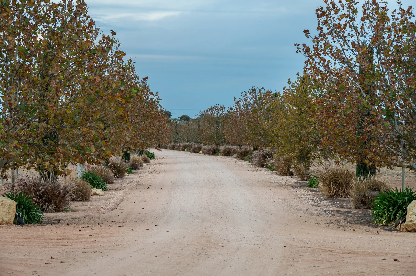Additional image 7 of 64 Loveday Road, Barmera SA 5345