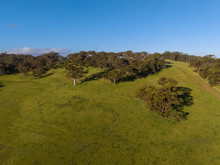 Additional image 25 of 461 Nanarup Road, Kalgan WA 6330