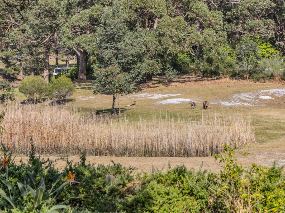 Additional image 31 of 3599 Tathra-Bermagui Road, Bermagui NSW 2546