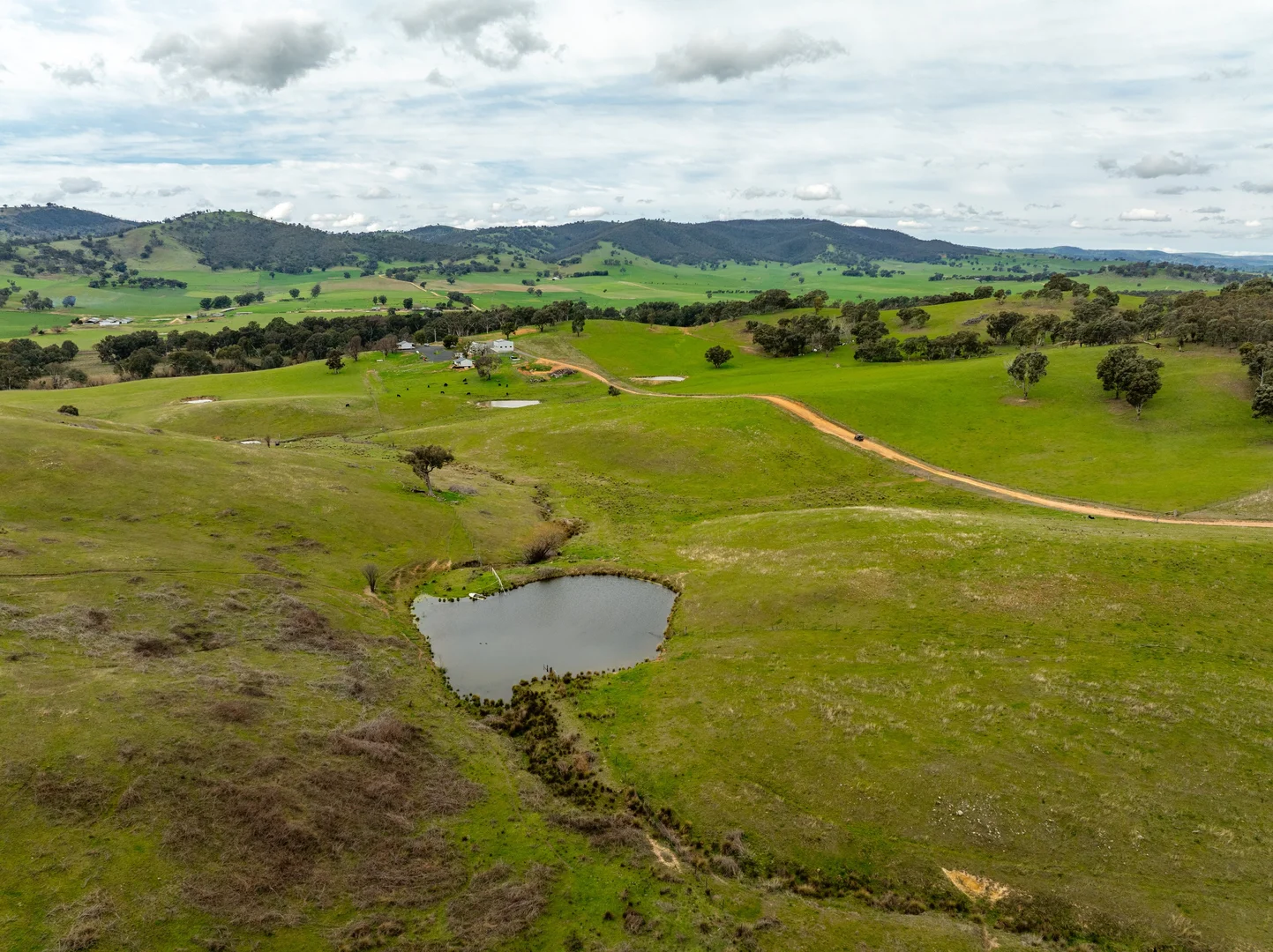 Additional image 39 of 2543 Westbrook Road, Oberne Creek NSW 2650