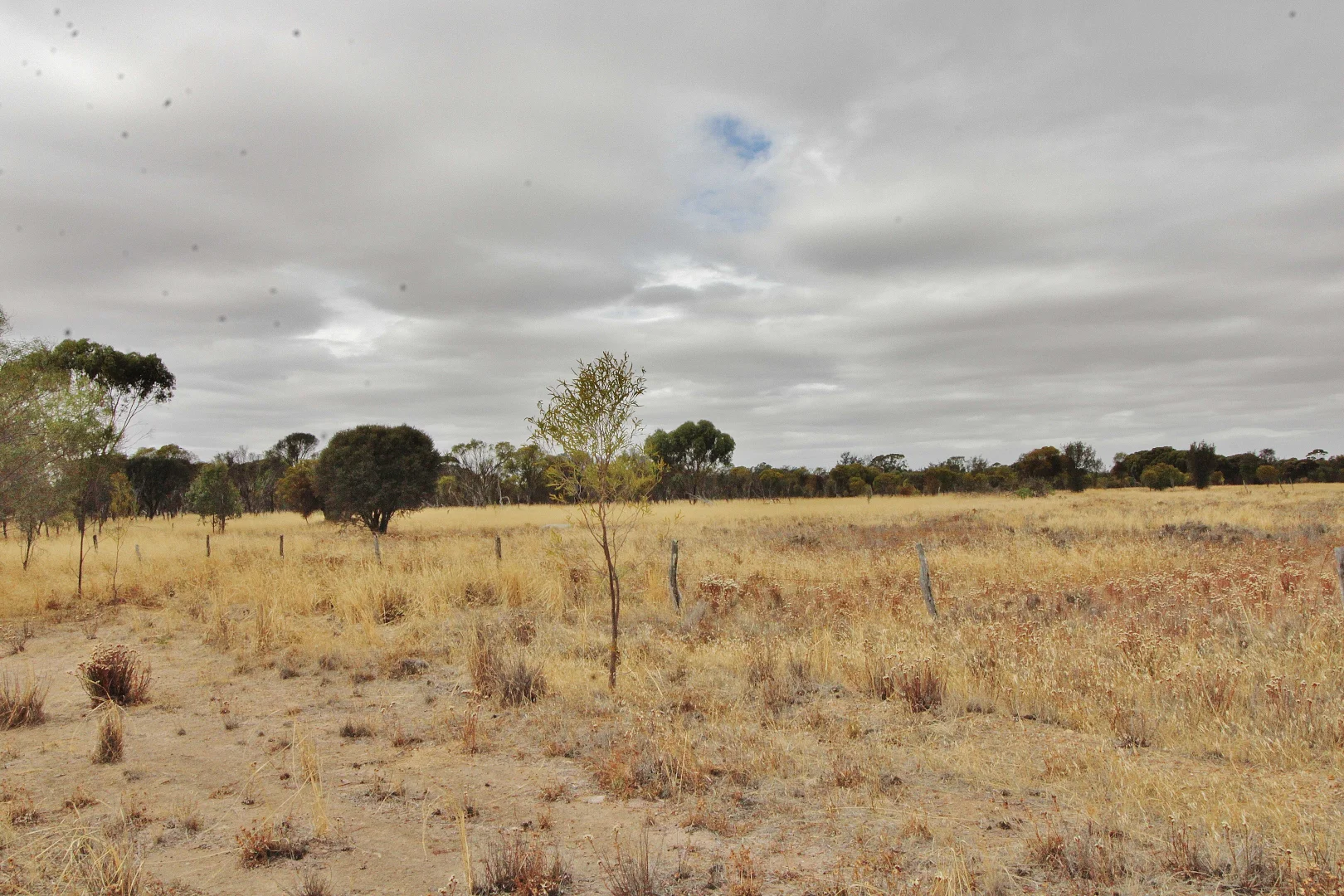 Additional image 2 of 458 Vernal, Wagin WA 6315
