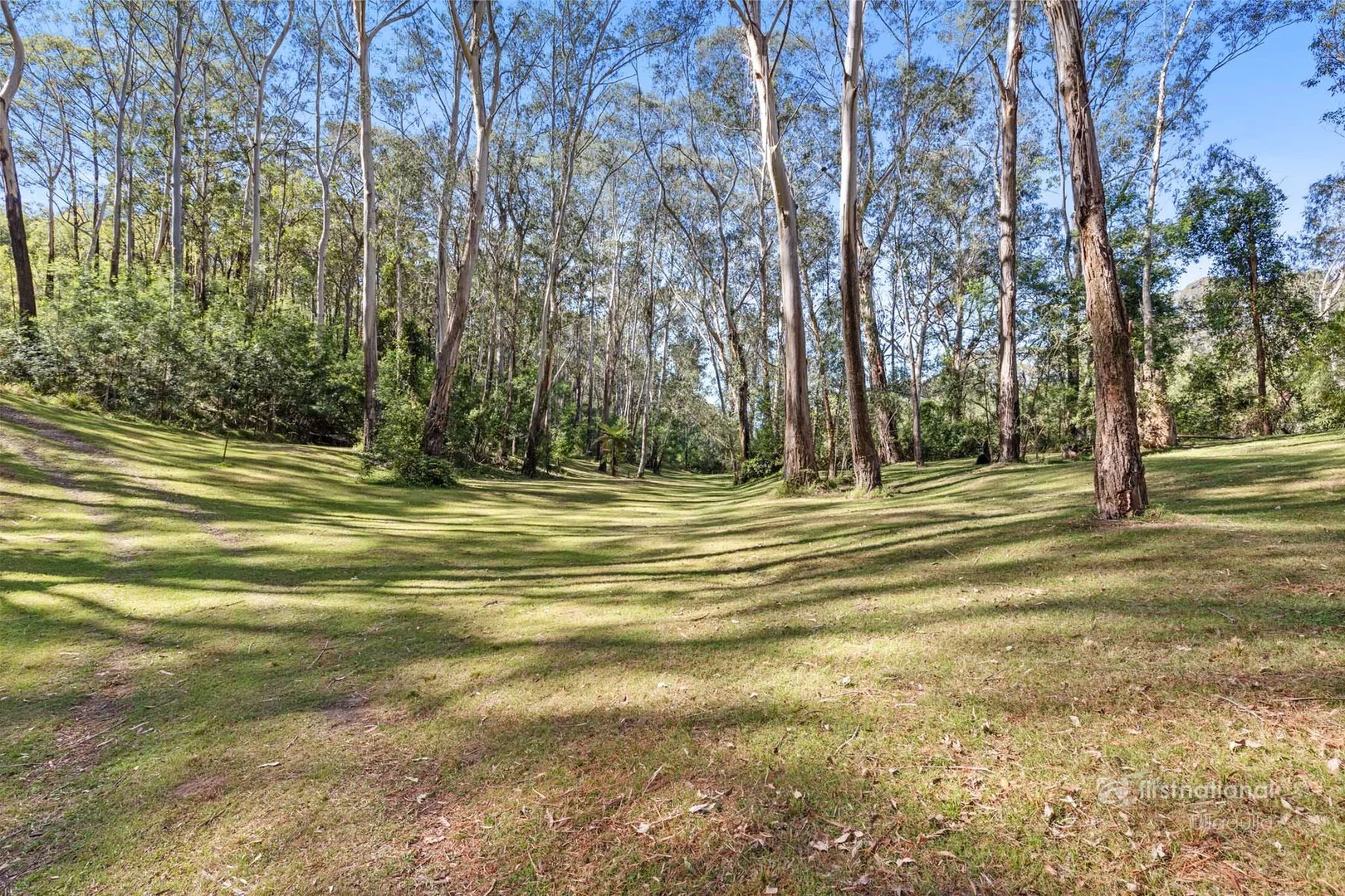 Additional image 26 of Lot 10/- The River Road, Mogood NSW 2538