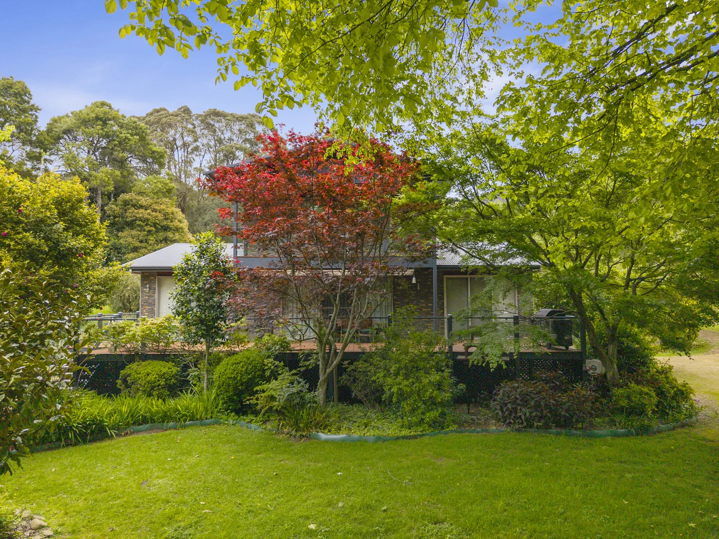 Additional image 16 of 4124 Mansfield-Woods Point Road, Jamieson VIC 3723