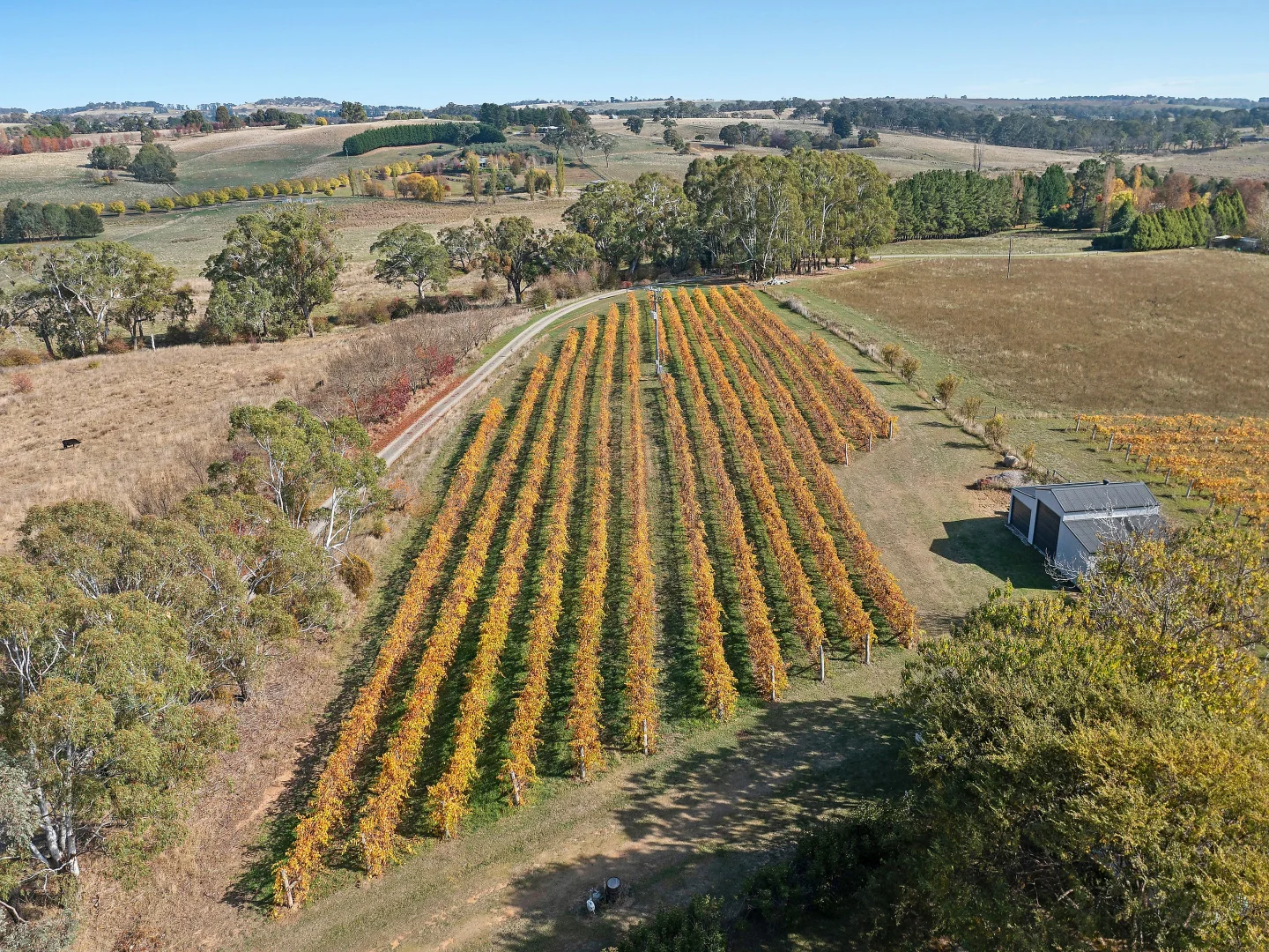 Additional image 24 of 432 Cargo Road, Orange NSW 2800